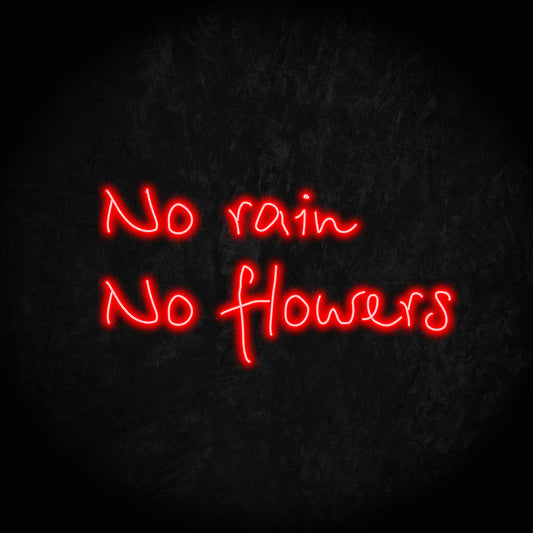 No Rain No Flowers LED